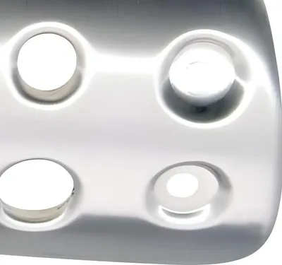 Produktbild von Tecnigas Hitzeschutz / Hitzeschild mit Zulassung kompatibel mit Tecnigas Silent Pro Auspuff