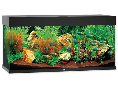 Produktbild von Juwel Rio 180 LED schwarz - Aquarium Juwel