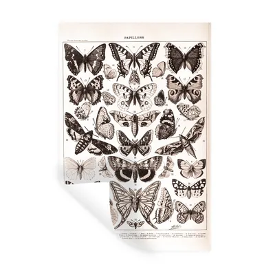 Produktbild von MuchoWow® Wandtattoo Wandsticker Wandaufkleber Tiere - Schmetterling - Schwarz - Weiß 80x120 cm Selbstklebend und Repositionierbar - Repositionierbar - Wasser abweisend