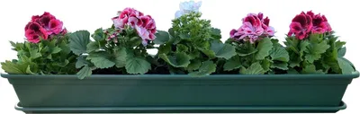 Produktbild von Blumenkasten Balkonkasten Pflanzkasten Grün mit Bewässerungssystem und Untersetzer 80 oder 100cm