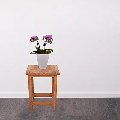 Produktbild von Universalhocker MAX 1 - H 40 cm