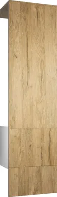 Produktbild von Vladon Garderobe Carlton Set 5, Germany, Garderobenset bestehend aus 1 Garderobenpaneel mit integrierter Tür und 1 Kleiderstange, Weiß matt/Eiche Natur (52 x 193 x 35 cm)