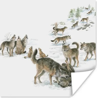 Produktbild von MuchoWow® Poster Wölfe - Schnee - Winter 100x100 cm - Babyzimmer