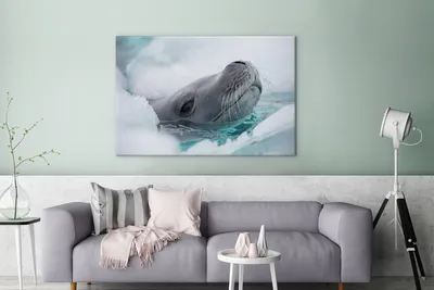 Produktbild von OneMillionCanvasses® - Leinwandbilder - 140x90 cm, Tier - Wasser - Eis, Wandbilder Kunstdruck Wanddekoration