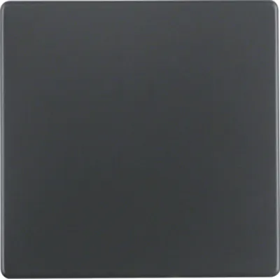 Produktbild von Berker 16206086 - Anthrazit - Duroplast - 10 Stück(e)