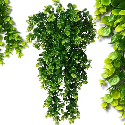 Obrázek produktu pro Umělý eukalyptus převislá větvička 80 cm závěsná girlanda zelená rostlina
