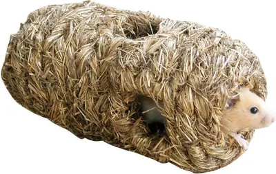 Produktbild von Kerbl Grasrähre mit 6 Lächer Zubehör für Käfig Hamster Unterschlupf Nest aus Heu