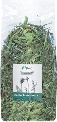 Zdjęcie produktu dla TIVO - Babka lancetowata dla wszystkich papug 600g