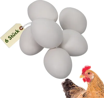 Produktbild von 6x Legeeier Kunsteier Nesteier für Hühner Gipseier Bruteier Fasanen Enten Künstliche Eier Hühnereier Weiß