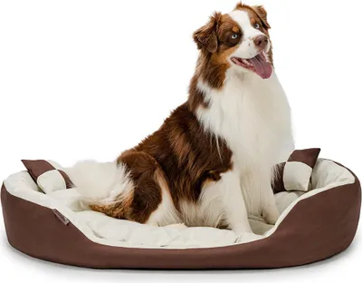 Produktbild von lionto Hundebett, stilvolles 4-in-1 Hundekörbchen, wasserabweisend, kratzfest & pflegeleicht, 110x80 cm, braun/beige
