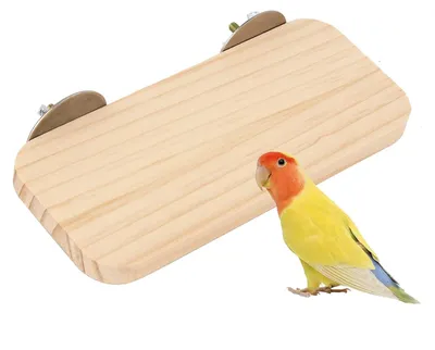 Immagine prodotto di Solidchoice - Abete naturale per nidi di uccelli