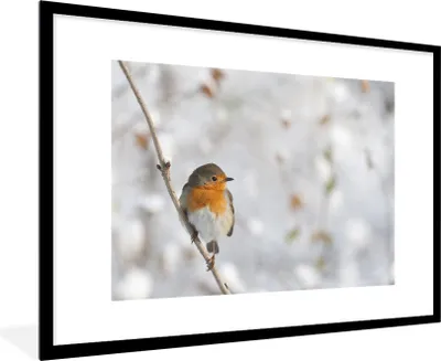 Produktbild von MuchoWow® Gerahmtes Poster Vogel - Rotkehlchen - Winter 90x60 cm - Poster mit Schwarzem Bilderrahmen Wandposter Rahmen Foto Bilder - Wanddekoration - Fotos