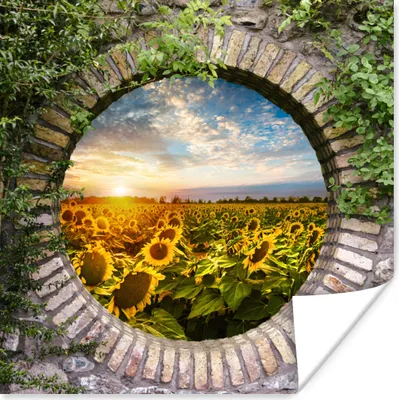 Produktbild von MuchoWow® Poster Sonnenblumen - Ansicht - Blumen - Sonne 100x100 cm - Babyzimmer