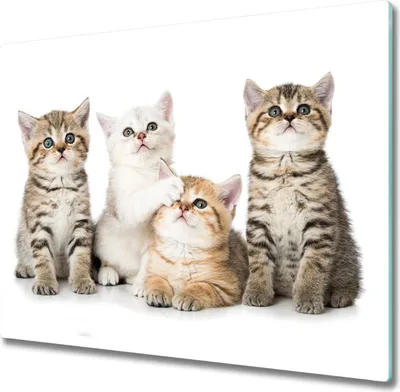 Produktbild von Glas Herdabdeckplatte 60x52 cm Spritzschutz Glasabdeckplatte Schneidebrett Kleine Katzen