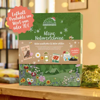 Obrázek produktu pro Adventní kalendár - 24 prekvapení se semínky, kvetinovými kulickami a talismany