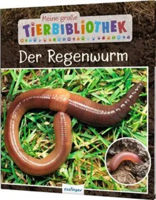 Produktbild von Meine große Tierbibliothek: Der Regenwurm