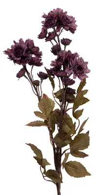 Immagine prodotto di Clayre & Eef Fiore artificiale 6x10x80 cm Viola Plastica
