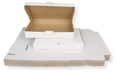 Produktbild von Maxibriefkarton DIN A4 320 x 225 x 50 mm, weiß 30 Stück