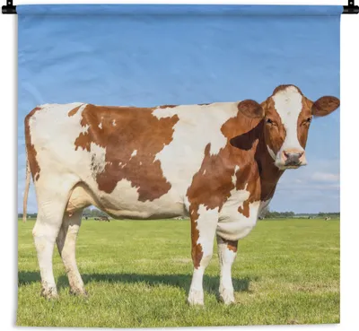 Produktbild von MuchoWow® Wandteppich Wandbehang Kühe - Bauernhof - Gras - Natur - Tiere 90x90 cm Tapisserie Dekoration Wandtuch - Wandaufhänger
