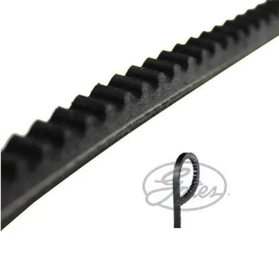 Produktbild von Gates Keilriemen für Seat Alhambra Toledo 1 VW Golf 3 4 Corrado Vento