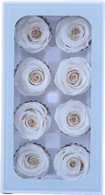 Produktbild von Stück konservierte Rosen, Schönheit, lichtecht, realistisch, ewiges Blumenarrangement, Geschenk für die Dekoration von Home Party