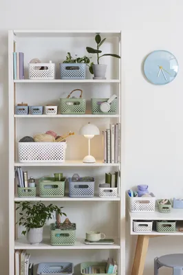 Produktbild von smartstore Aufbewahrungskorb Essence S grün