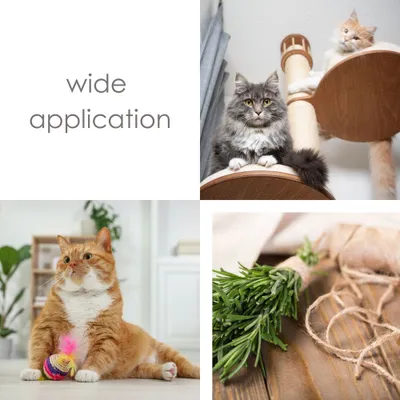 Zdjęcie produktu dla IDEA HOME lina sizalowa, naturalna lina sizalowa, lina jutowa, sznurek sizalowy, sznurek jutowy do majsterkowania w ogrodzie, drapak dla kota, brązowy, 2mm 55M 0.1kg