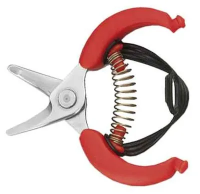 Immagine prodotto di FORBICI PER AGRUMI '10,5' AUSONIA 10,5 cm