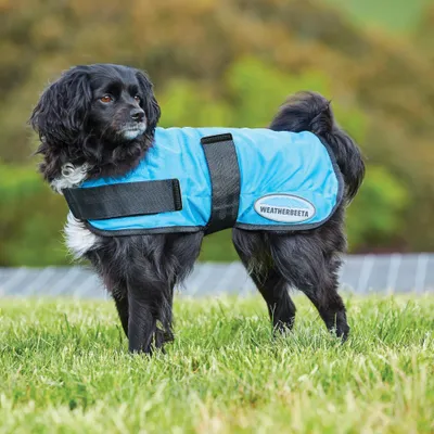 Image de Weatherbeeta Therapy-Tec Cooling manteau pour chien - bleu