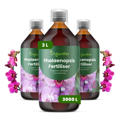 Obrázek produktu pro Phalaenopsis Tekuté Hnojivo 3x1 L – 3-4-3 NPK – Pro Orchidey – Podporuje Stabilné Stonky Květů & Rovnomerný Růst – Organifer