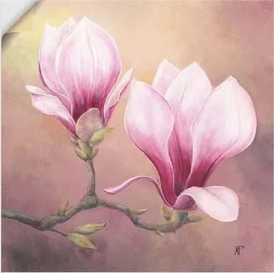 Produktbild von ARTland Wandbild, selbstklebend Späte Magnolie Größe: 100x100 cm