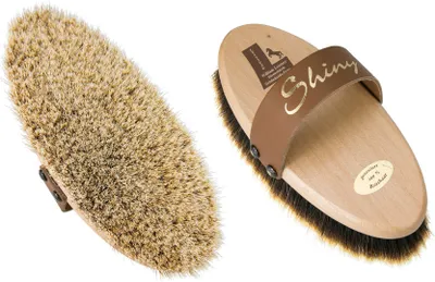 Produktbild von Leistner Bürste Kardätsche Shiny
