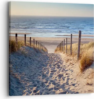 Produktbild von Bild auf Leinwand - Leinwandbild - Meer Strand Düne - 40x40cm - Wand Bild - Wanddeko - Wandbilder - Leinwanddruck - Bilder - Kunstdruck - Wanddekoration - Leinwand bilder - Wandkunst - AC40x40-3612
