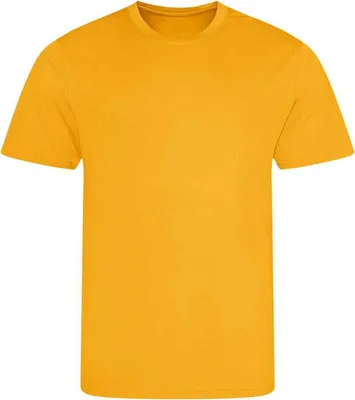 Image de AWDis Cool - T-shirt pour homme PC5211 (S) (Or)