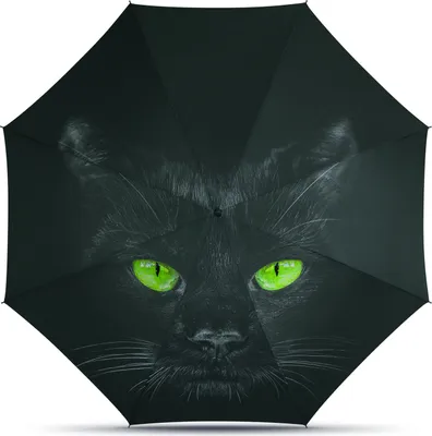 Produktbild von Regenschirm Damenschirm Stockschirm Automatiköffnung Motiv Katze Schwarz