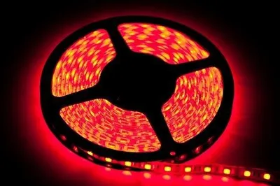 Zdjęcie produktu dla Taśma LED 5m 60LED 24W czerwony IP65 EKPL9168 Eko-light