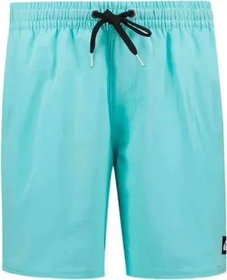 Immagine prodotto di Costume da bagno Quiksilver EQYJV04111-BGH0 da Uomo
