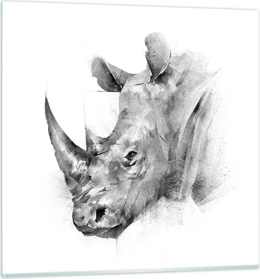 Produktbild von Bilder auf glas - Einteilig - Nashorn Porträt Grafik - 60x60cm - Glasbilder - Wandbilder - Bilder - zum Aufhängen bereit - Wanddekoration aus Glas - Glas Bilder - Wandbild auf Glas - GAC60x60-4378