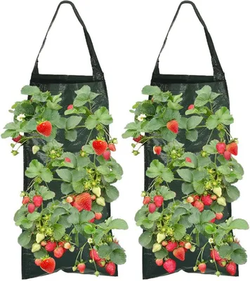 Produktbild von Pflanztasche 2 Stück, für Gartenarbeit, PE, 8 Löcher, mit Griffen