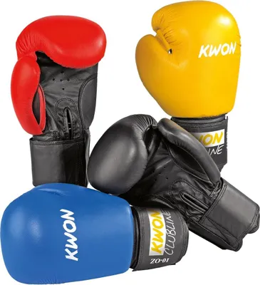 Produktbild von Boxhandschuhe Pointer 10 oz. in 4 Farben rot/schwarz