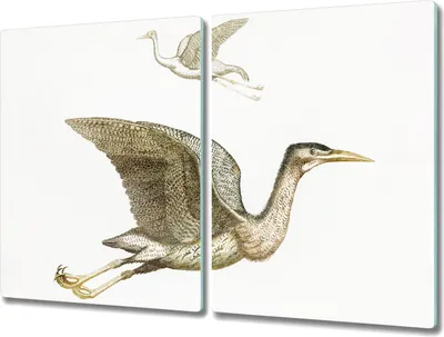 Produktbild von Coloray Hackbrett Herdabdeckplatte 2x40x52 cm Küchenbrett Kochplattenabdeckung Schneidebrett - Tiere Vögel