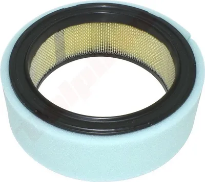 Image de Filtre à air Pour Kohler K361 ( 4708303 , Am47494 ) 178X140X64
