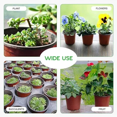 Produktbild von Blumentopf Pflanztopf Pflanzschale - Rund - 10 x 8 cm - 50 Stück - Wiederverwendbar