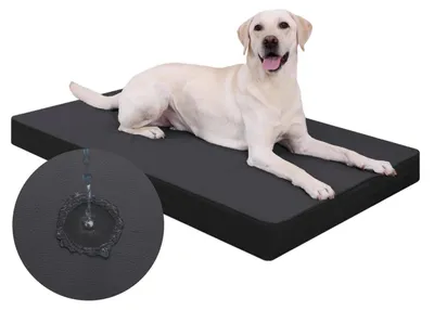 Immagine prodotto di Cuccia ortopedica per cani, dimensioni L, 119x73x9 cm, colore nero, impermeabile, aspetto in pelle