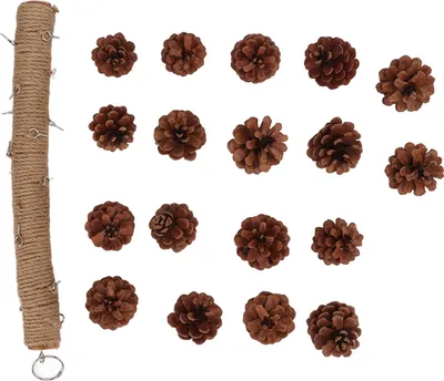 Productafbeelding van Vogelspeelgoed, hout, kaak, kegel, hangende papegaaiensnavel, slijpsteen met metalen haak voor kooi, 40 cm