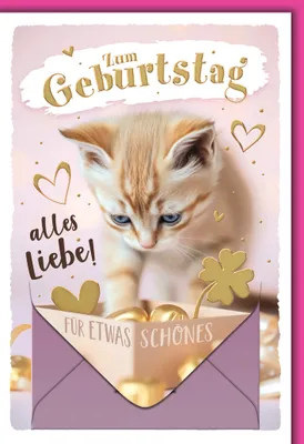 Produktbild von Geburtstag Geldgeschenkarte Katze mit Geldkuvert und Umschlag Geldkarte für etwas Schönes