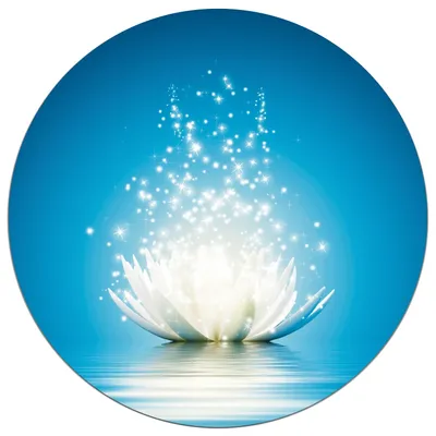 Produktbild von Wallario wasserfestes Poster selbstklebend 60 x 60 cm, Lotosblüte auf Wasser, Badezimmerposter Spritzschutz mit Hochglanzoberfläche in Glasoptik
