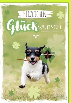 Produktbild von Allgemeine Wünsche - Glückwunschkarte im Format 11,5 x 17 cm mit