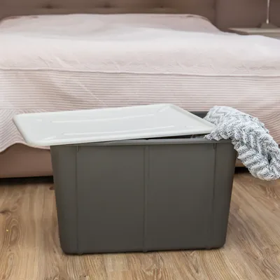 Zdjęcie produktu dla Pojemnik do przechowywania Velur 60 L szary BRANQ