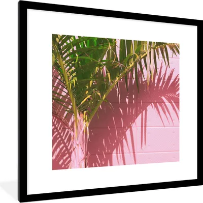 Produktbild von MuchoWow® Gerahmtes Poster Pflanze - Sommer - Tropisch - Rosa 40x40 cm - Poster mit Schwarzem Bilderrahmen Wandposter Rahmen Foto Bilder - Poster - Plakat im Rahmen